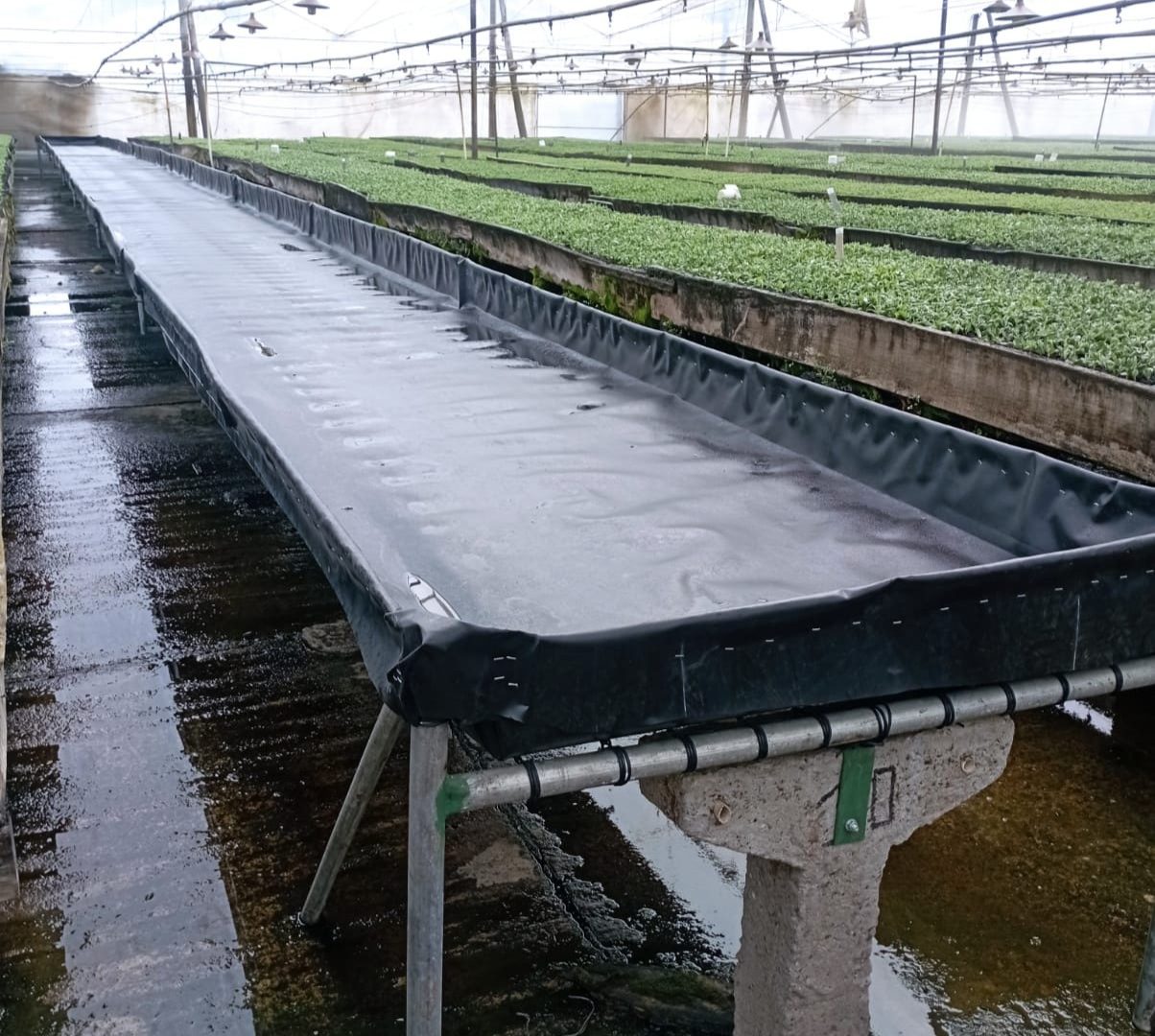 Cama de cultivo
