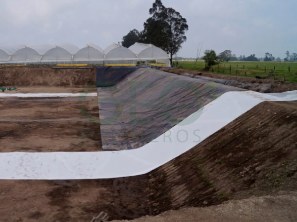 Geodrén triplanar extendido en la plataforma de un terraplén vial