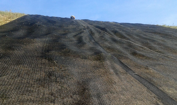 Talud reforzado con capas de geomalla uniaxial y cara revegetalizada